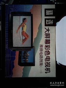精选大屏幕彩色电视机维修电路图集.一