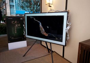 三星跨界故宫设计师开启艺术生活,双11电视刮宫廷风